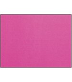 Placa de EVA Neon 40X60 Rosa Folha Make+ 9868