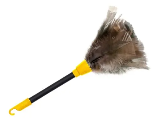 Espanadoe de pena 43