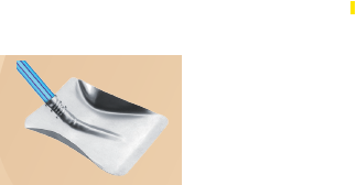 Pa metalica primavera