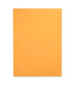 Envelope Ouro 200x280 Avulso