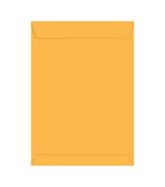 Envelope Ouro 265x360 Avulso